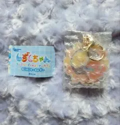 しずくちゃん　ゆらゆらキーホルダー アセオ君