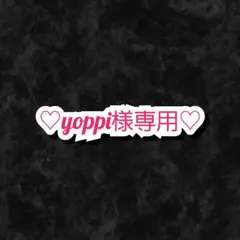 yoppi様 リクエスト 3点 まとめ商品