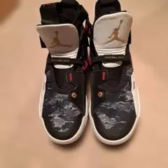 NIKE Air JORDAN 33 PFのサムネイル