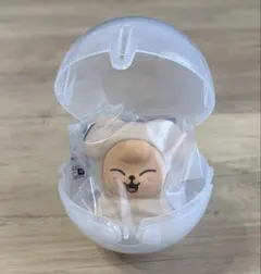 SKZOO ライトマスコット パピーム