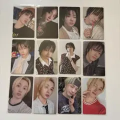 【12枚】BOYNEXTDOOR ソンホ トレカ