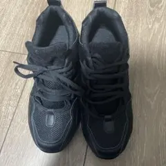 Item thumbnail for item 502187db-729e-48c6-837b-48c57c1f186a