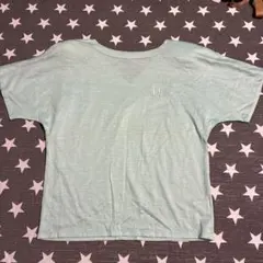 Dior 半袖 Tシャツ ライトグリーン 刺繍ロゴのサムネイル