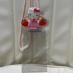 希少　レア品　 サンリオピューロランド　チケットケース