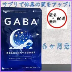 GABA　６ヶ月分(３ヶ月分×２袋)　シードコムス