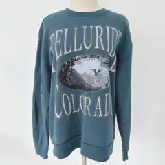 HOLLISTER ホリスター スウェット トラッカー アメカジ 鷲 Sのサムネイル