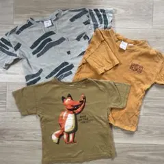 ZARA Tシャツ 3枚 98 100のサムネイル