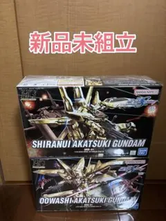 【新品未組】HG アカツキ ガンダムのサムネイル