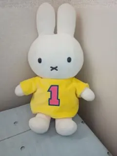 5 12/5　sekiguchi ディック・ブルーナ miffy sports