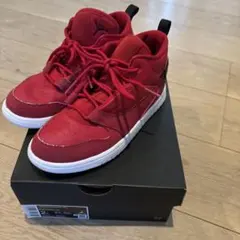 NIKE スニーカー　エアジョーダン　21cm