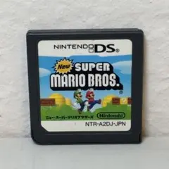 ニュースーパーマリオブラザーズ Nintendo DS ソフト ニンテンドー