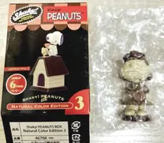 シェイキー ピーナッツ　ルーシー