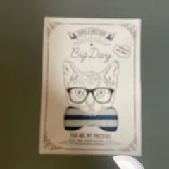 【未使用】ハンカチ ビッグデイ big day 猫