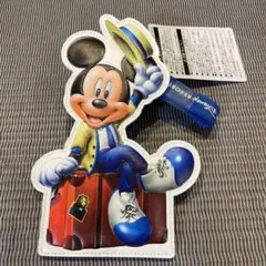 ディズニー　バケーションパッケージ　パスケース