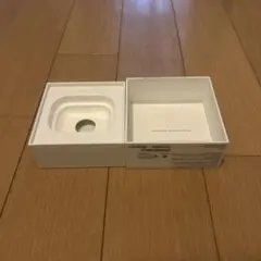 AirPodsPro (箱+説明書)のみ