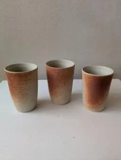 陶器製グラデーションビアカップ3個セット