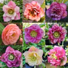 ピザにゃん様 リクエスト 2点 まとめ商品