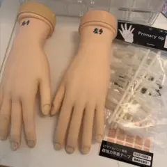 ネイルアート用練習手 右手・左手 セット 認定モデルハンド