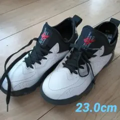 Item thumbnail for item 1d3ad0a0-73a7-4caa-a50e-7cb9561d39b5