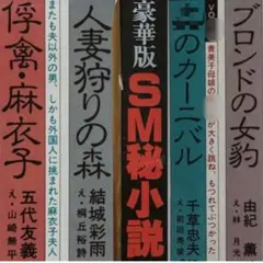 絶版】◯小説86年2月 千草忠夫 結城彩雨 前田寿按 楡畑雄二 椋陽児