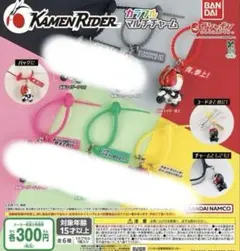 専用　仮面ライダー カラフルマルチチャーム