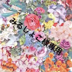 みるしょこ様専用