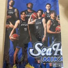 シーホース三河　タオル