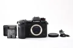 パナソニック LUMIX GH1 ブラック ビデオライト まとめ売り - メルカリ
