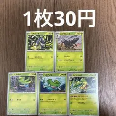 マメバッタ、ハスボー在庫3エクスレッグ、ハスブレロ、ルンパッパ在庫1