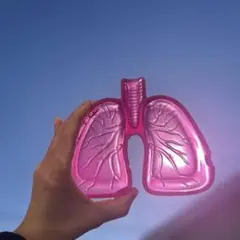 Item thumbnail for item eeed4485-5da3-4fd0-b30b-97560af0d0fa