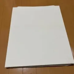 張りキャンバス 油彩 アクリル兼用 画材　Ｆ８のサムネイル