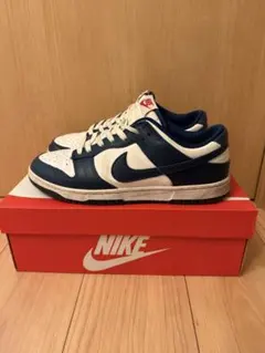 Nike Dunk Low Valerian Blue