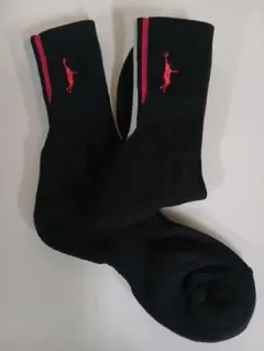 インザペイントバスケソックスメンズ2足セット正規品