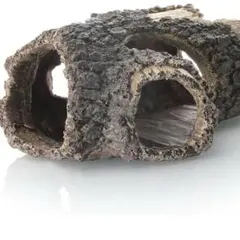 Item thumbnail for item ec273b29-e967-4ebe-81e7-1ef658c1489f