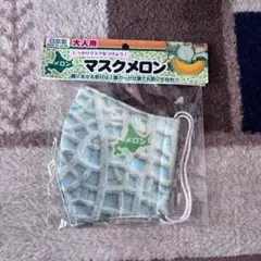 高知産 温室マスクメロン 2玉 約4，5Kg 秀品 贈答品 北海道沖縄発送
