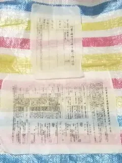 골동품, 문서, 문서, 중국 전시 사건, 얇은 잎 종이