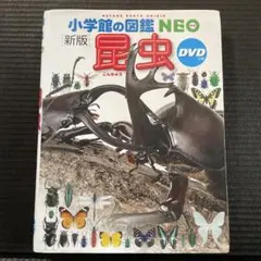 Item thumbnail for item ad38e9a6-a33b-4074-a272-944d98dc232a