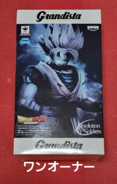 2026年最新】ドラゴンボールZ grandista resolution of soldiers son
