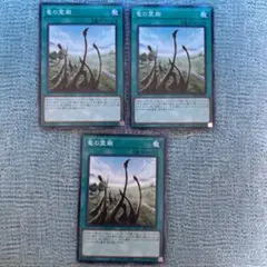 遊戯王☆単品販売可 竜の霊廟 ラー その他☆美品 遊戯王☆単品販売可 竜の霊廟 ラー その他☆美品 竜の霊廟【