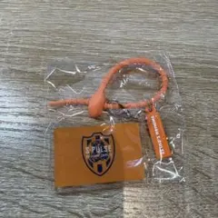 清水エスパルス マルチチャーム