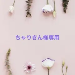 ちゃりきん様専用ページ