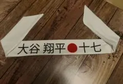 Item thumbnail for item 45e4d86e-6dfe-4ace-8db0-b291c3789577