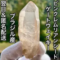 ピンクレムリアンシード　ロシア産　希少 楽天市場】ピンクレムリアンの通販