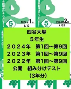2026年最新】四谷大塚 組分けテスト 5年 2024の人気アイテム - メルカリ