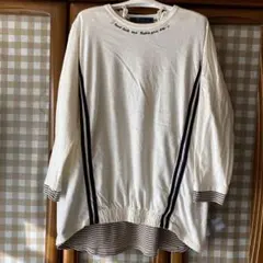 『激安』処分価格になりました。豚さん　サイズlargeのサムネイル
