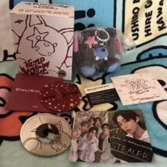 ENHYPEN THE SIN:VANISHボイスキーリング　ソヌ