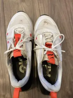 エアマックススタイル　24cm