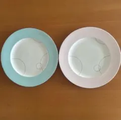 MIKASA ミカサ ボーンチャイナ 27cm 大皿 2枚セット 希少 銀縁