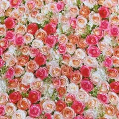 ❣️ライム様 リクエスト 2点 まとめ商品