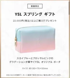 イヴサンローラン YSL ノベルティ ポーチ バレンタイン グラデーションのサムネイル
